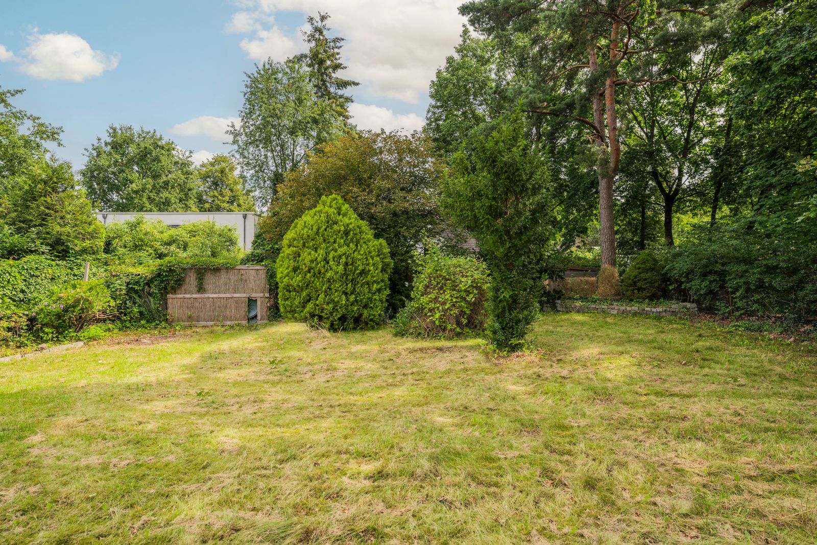 W-030FG1_Waldwinkel 14_Titel.jpg